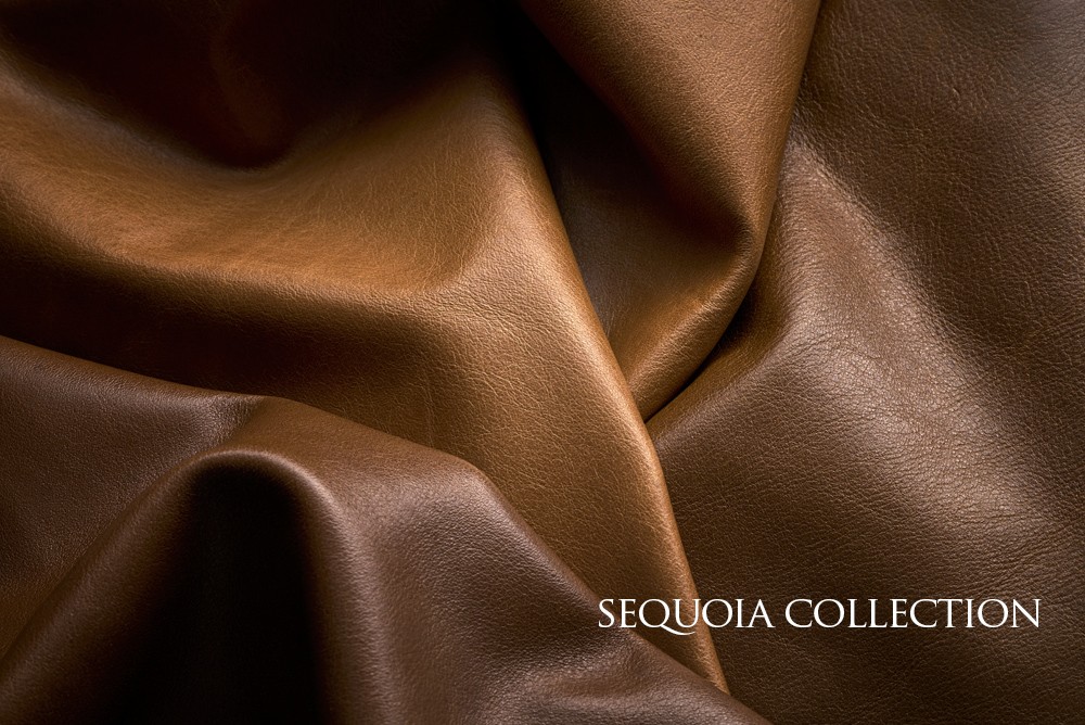 SEQUOIA
